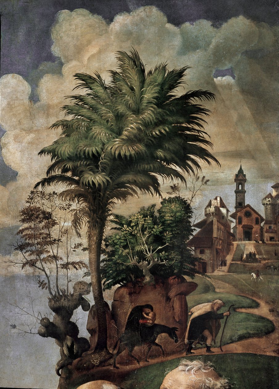 Azizlerle çevrili tahtta Bakire ve Çocuk, detay (panelde yağ ve tempera, yaklaşık 1493) by Piero di Cosimo