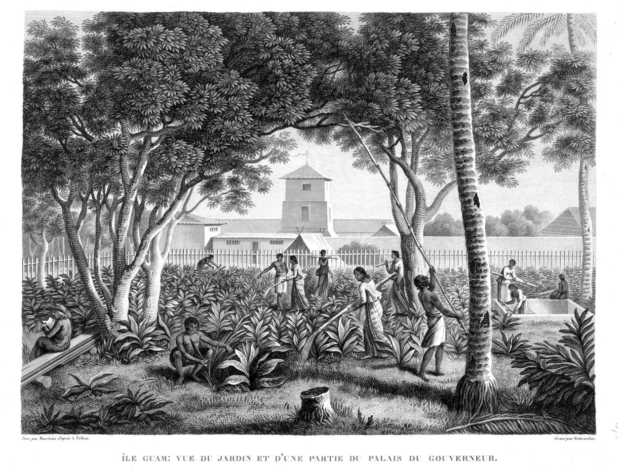 Guam Adası: Louis Claude De Saulces de Freycinet (1779-1842) tarafından 