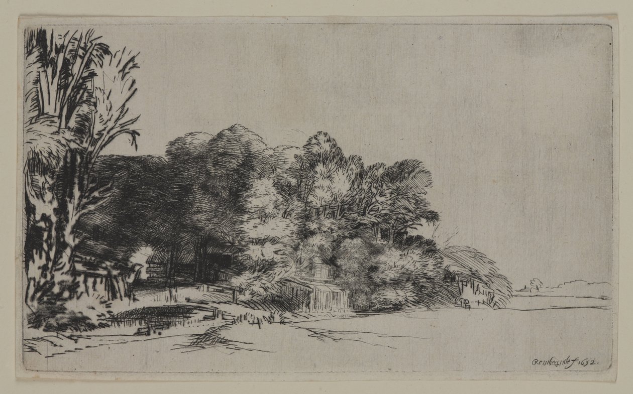Bir Vista ile Ağaç Kümesi, 1652 (sert kağıt üzerinde kuru nokta) by Pierre Auguste Renoir
