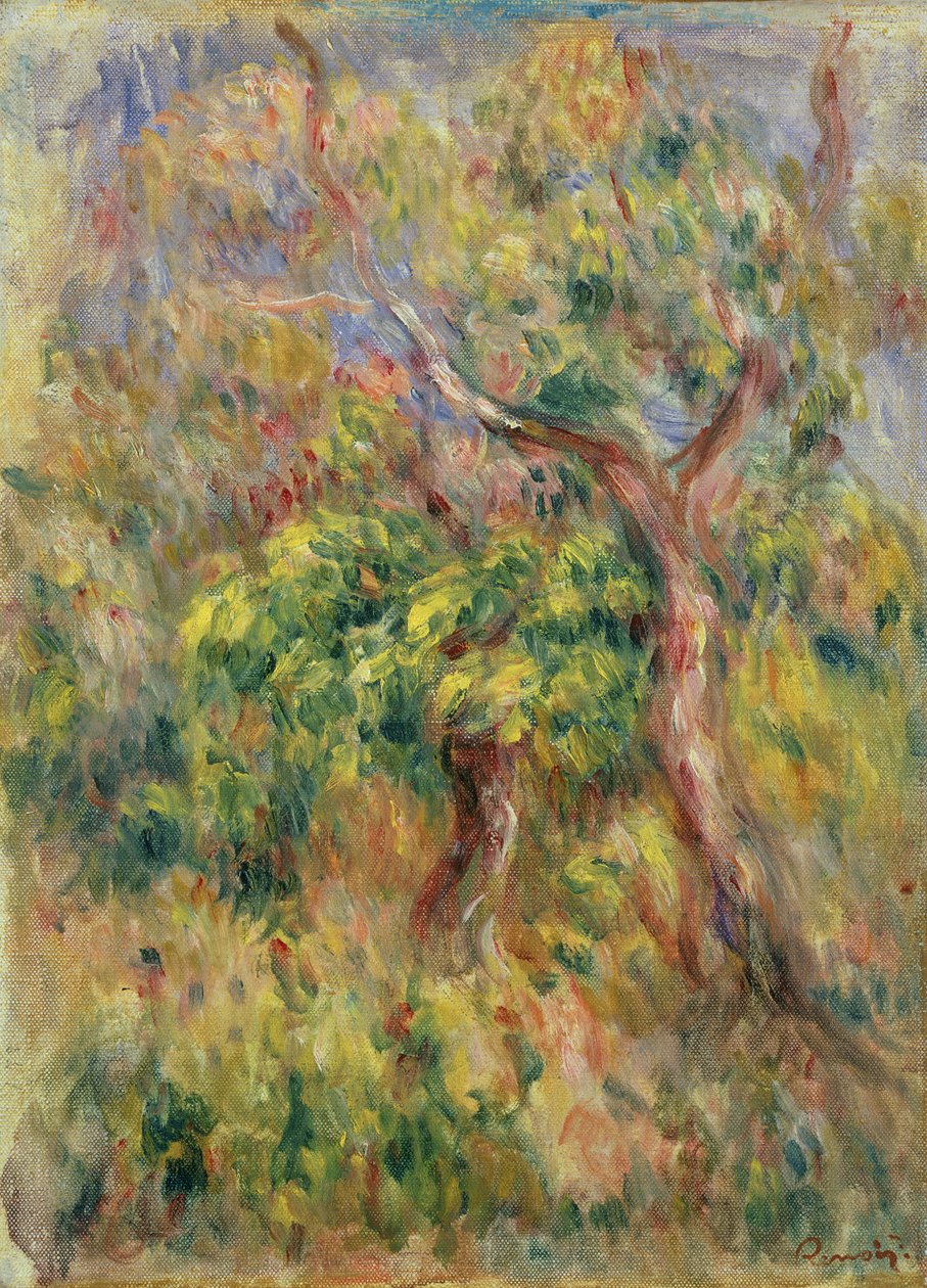 Ağaçlar, 1915-16 by Pierre Auguste Renoir