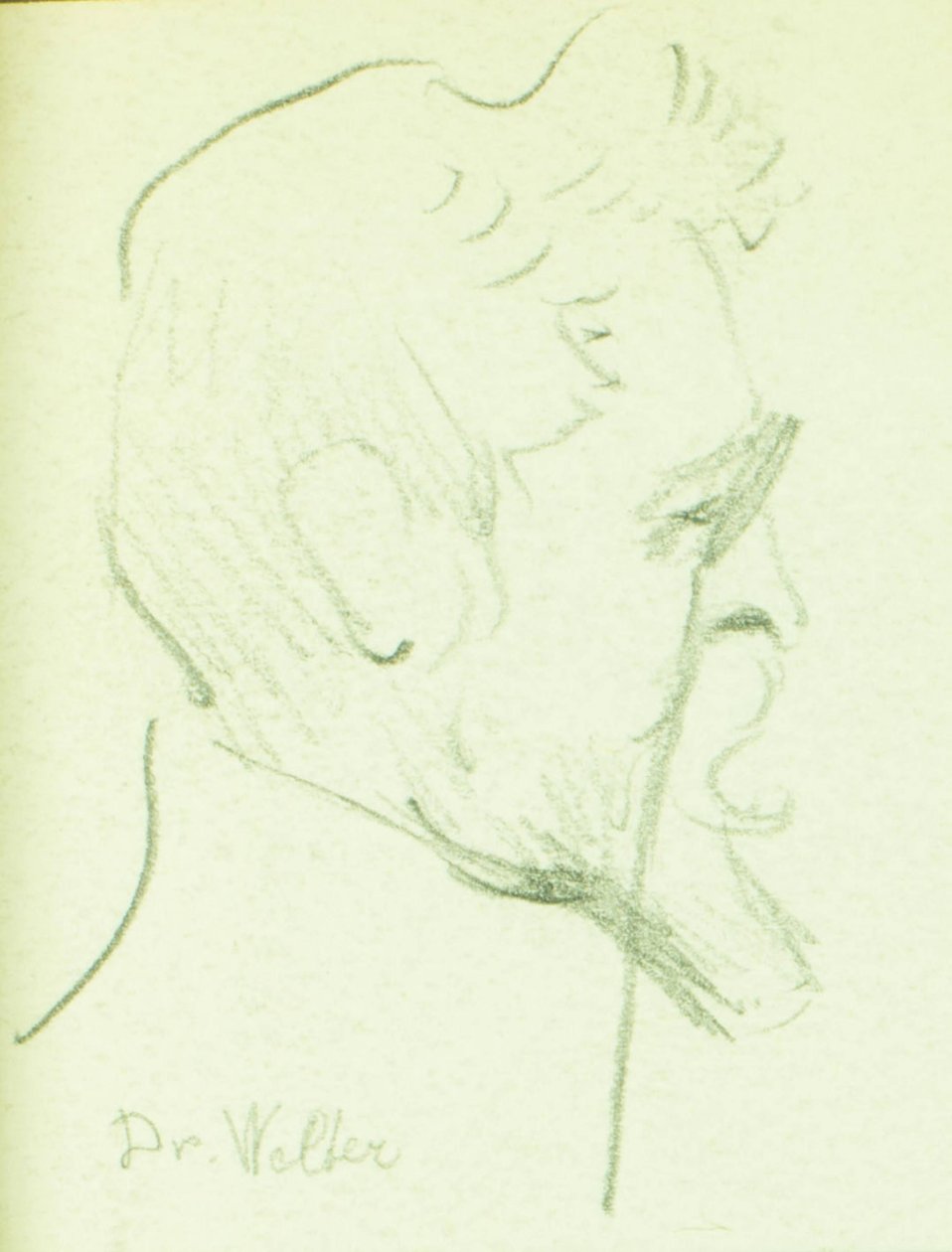 Doktor Welter by Pierre Blanc