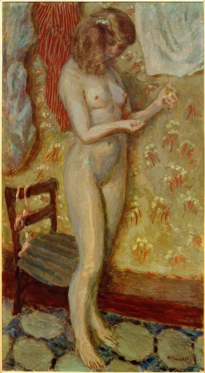 Nüden ışığa veya Nüden iğneye by Pierre Bonnard