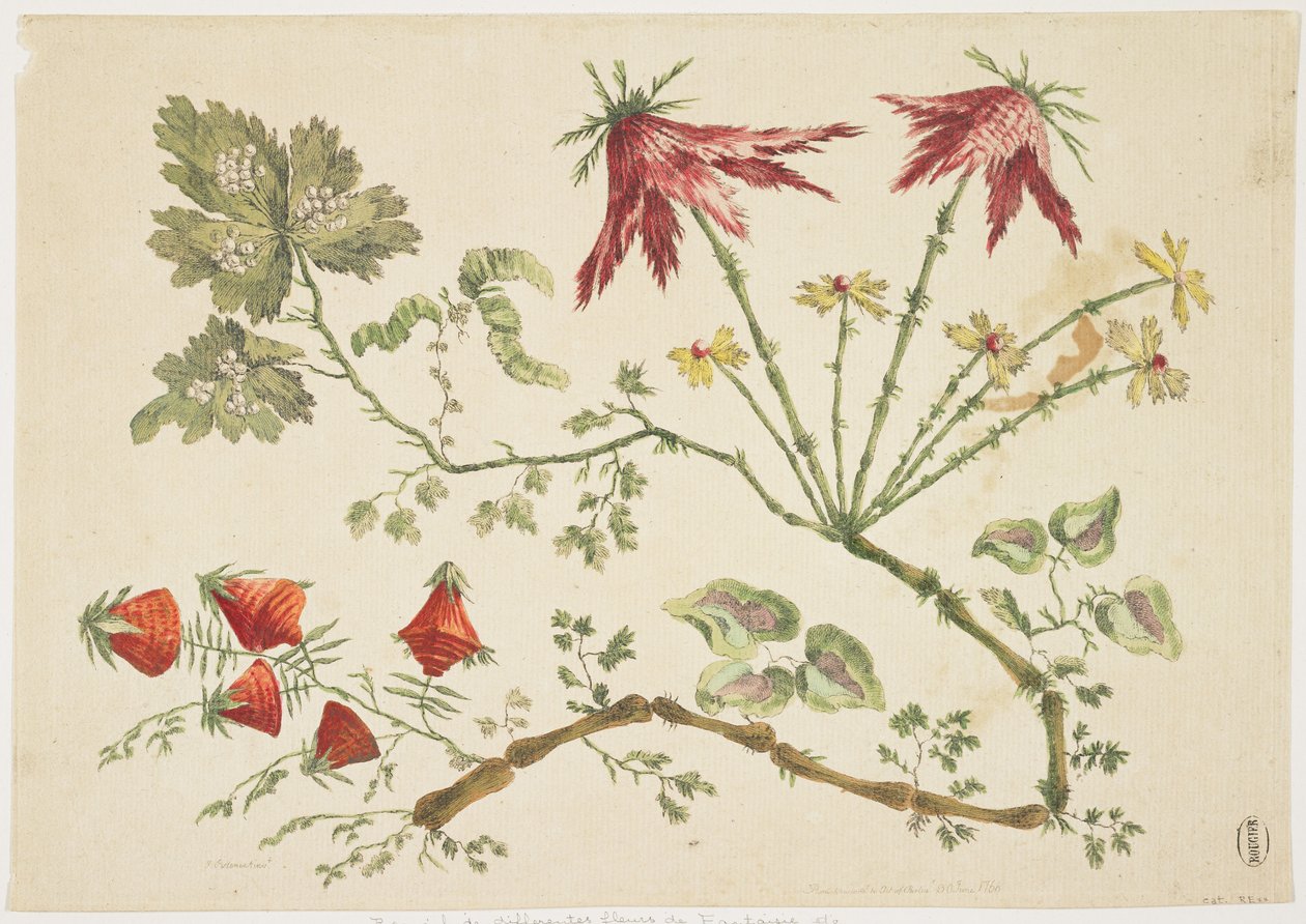 Süsleme, Chinoiserie, Çiçekler, 30 Haziran 1760 (renkli gravür) by Pierre Charles Canot