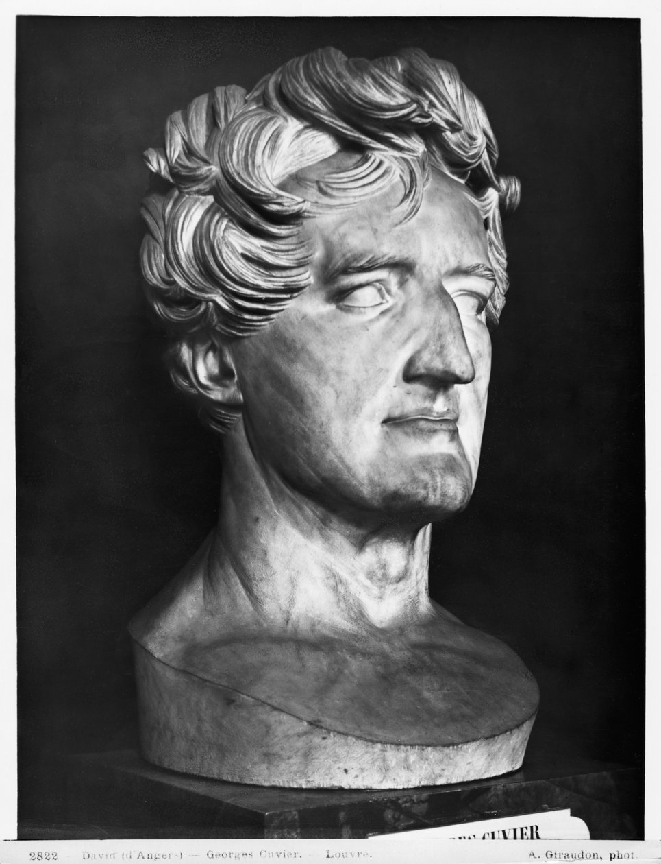 Georges Cuvier, 1833 (mermer) by Pierre Jean David d