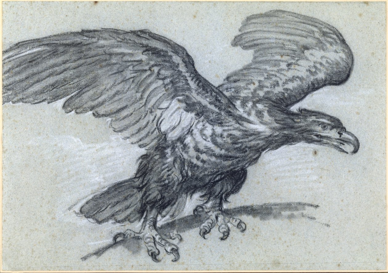 Kartal, 1811 by Pierre Paul Prudhon