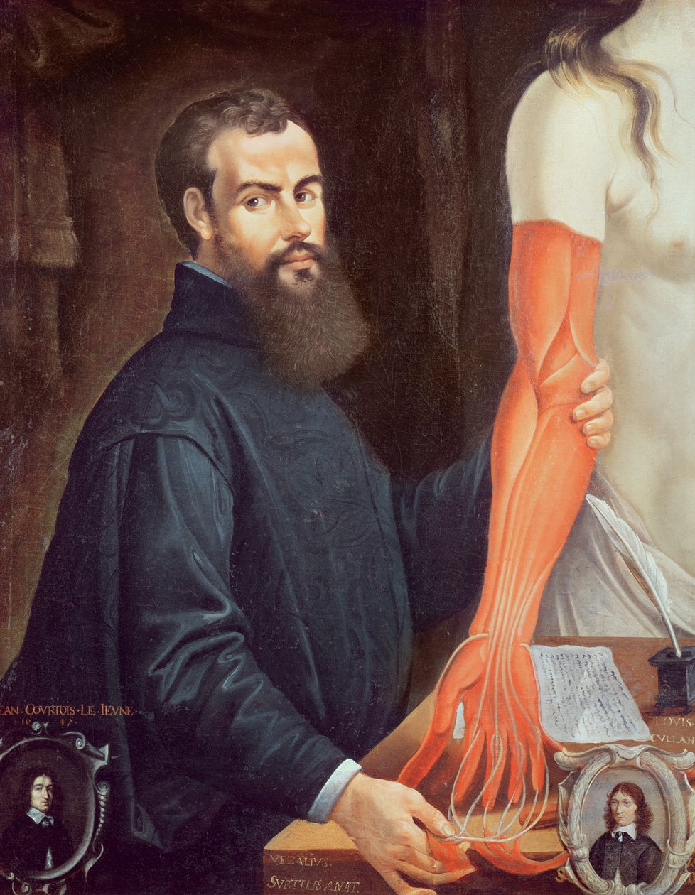 Andreas Vesalius (1514-64) by Pierre Poncet