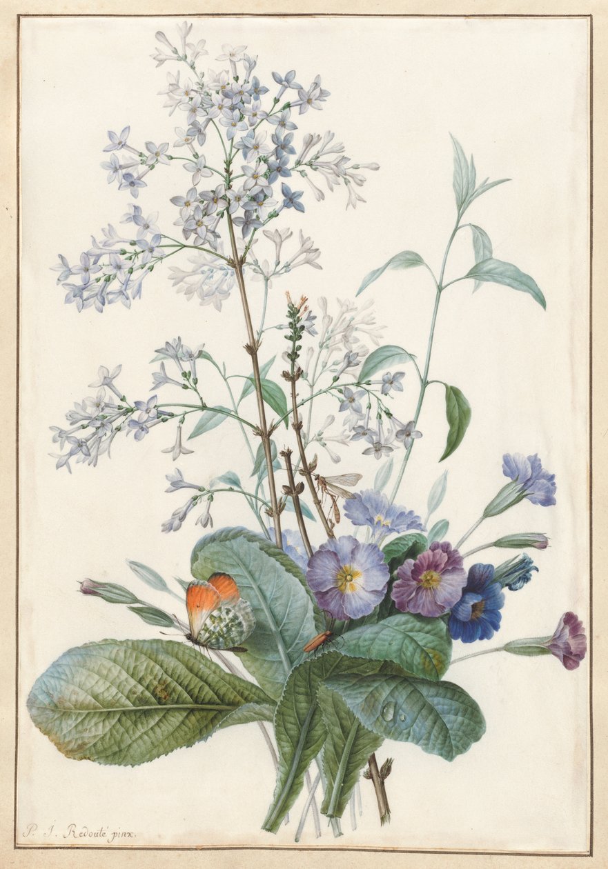 Böcekli Çiçek Buketi by Pierre Joseph Redouté