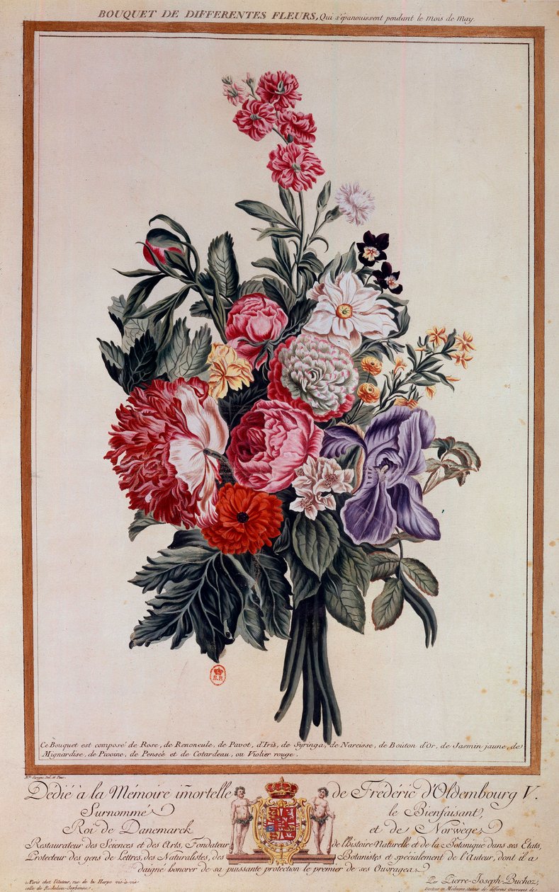Çiçek buketi melanj litografi Pierre Joseph tarafından by Pierre Joseph Buchoz