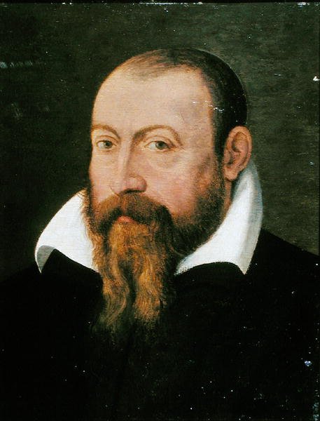 Jacques Dalechamps (1513-88) (panelde yağlı boya) by Pierre (attr. to) Eskrich