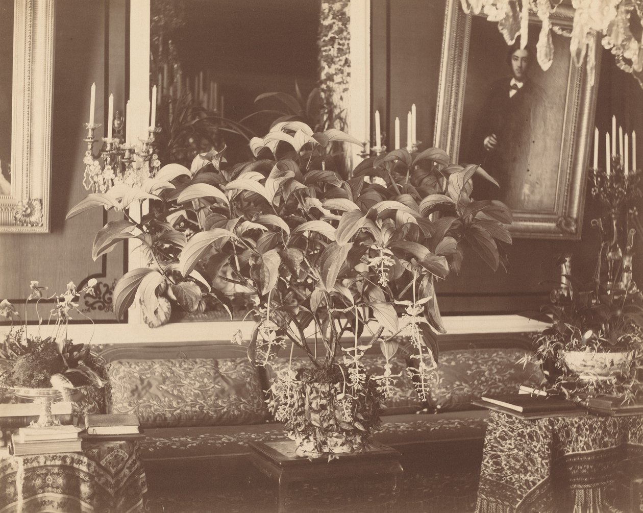 İç mekan, 1860