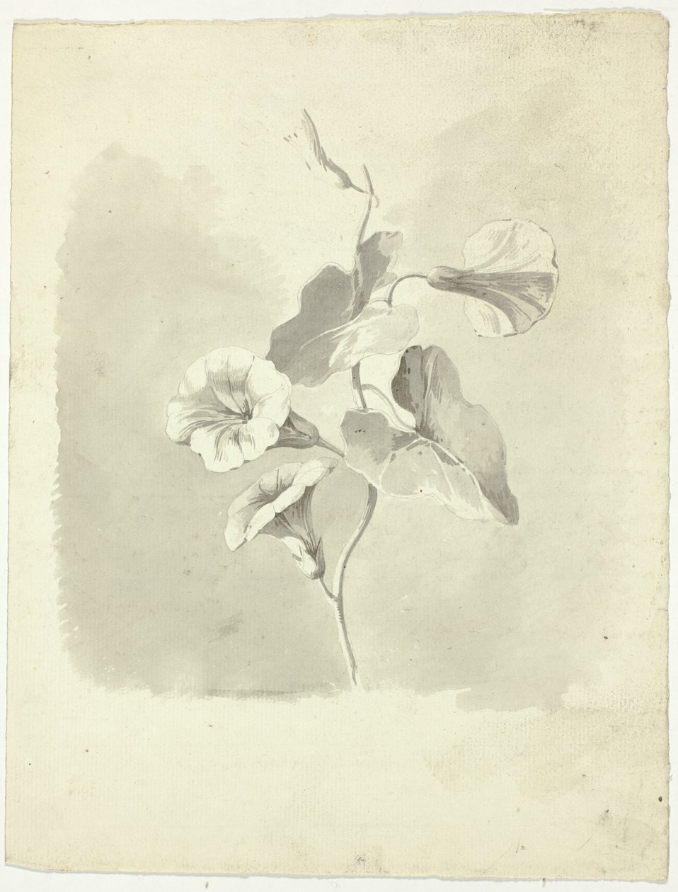  by Pierre Antoine Mongin