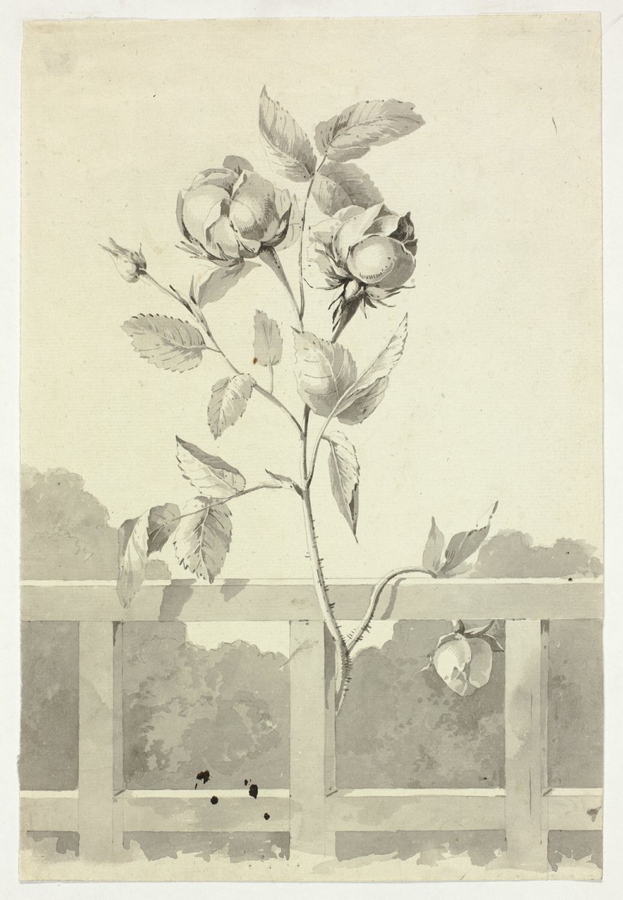  by Pierre Antoine Mongin