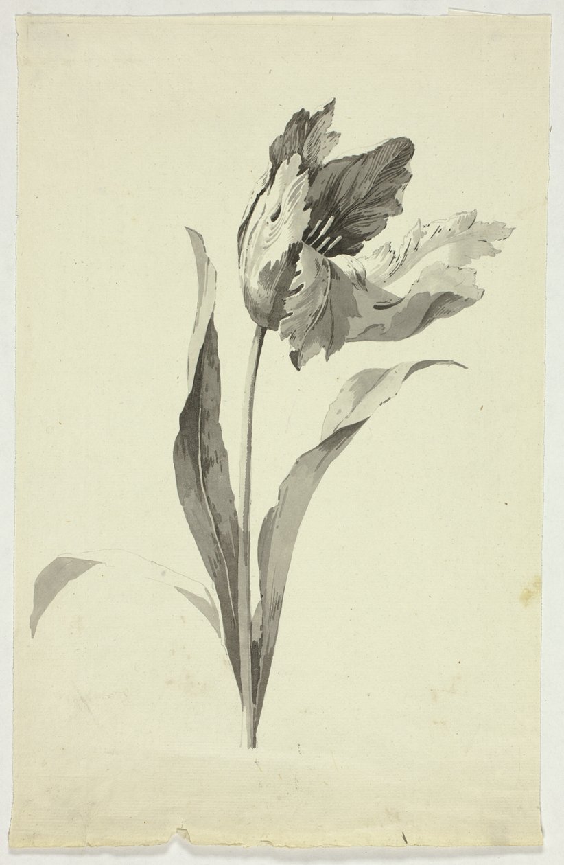  by Pierre Antoine Mongin