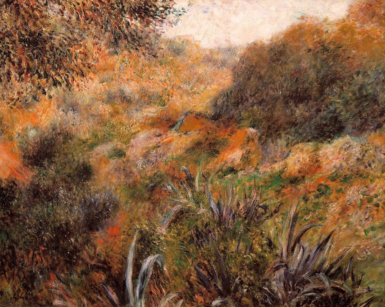 Cezayir manzarası, vahşi kadının vadisi by Pierre Auguste Renoir