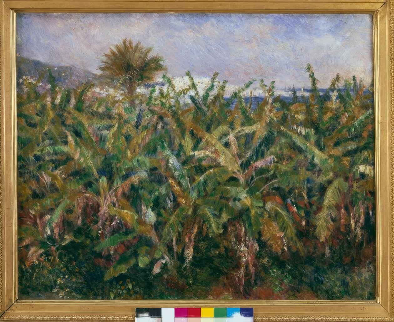 muz tarlası by Pierre Auguste Renoir