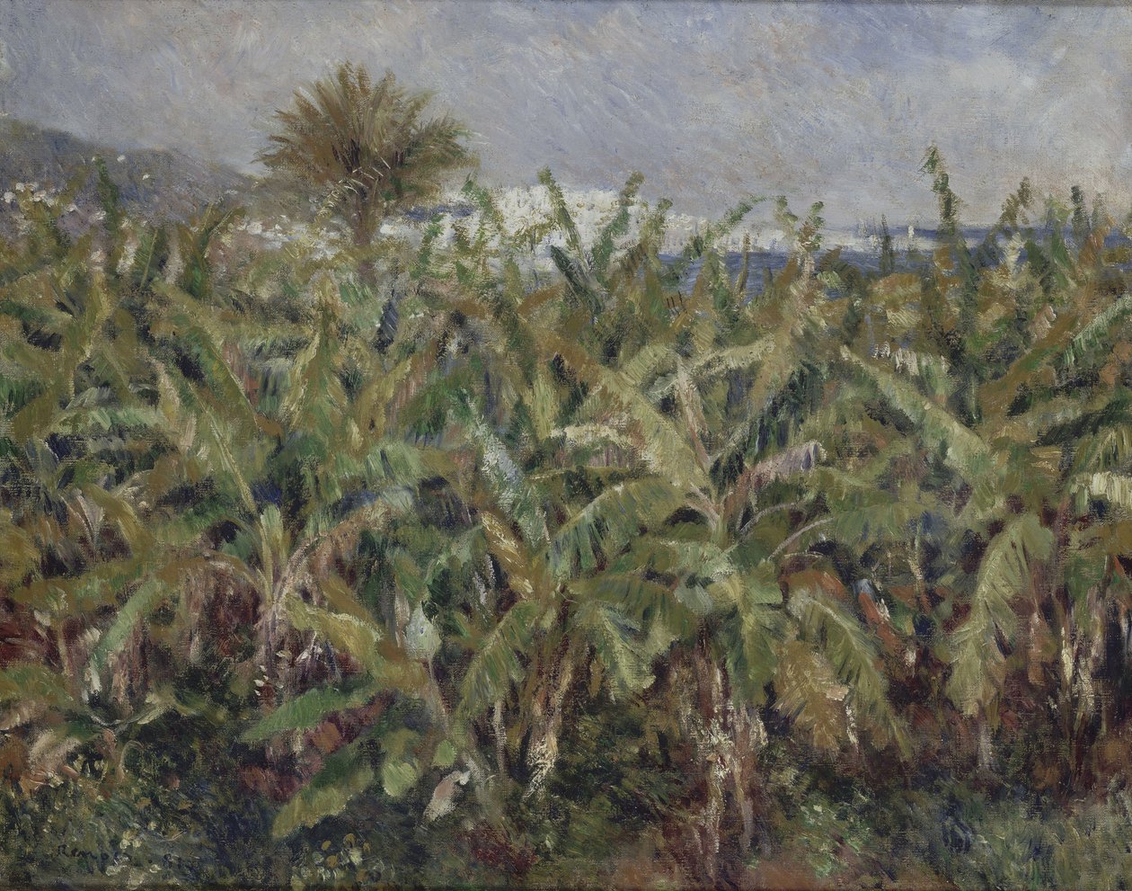 Muz Ağaçları Tarlası Champ de bananiers, 1881 by Pierre Auguste Renoir