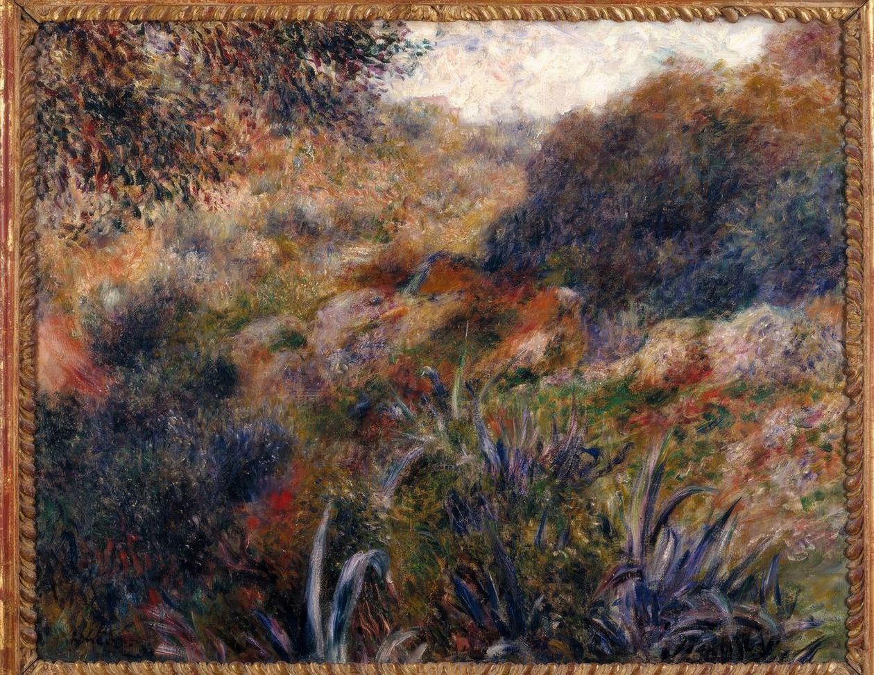 Cezayir manzarası. Vahşi Kadının Ravine by Pierre Auguste Renoir