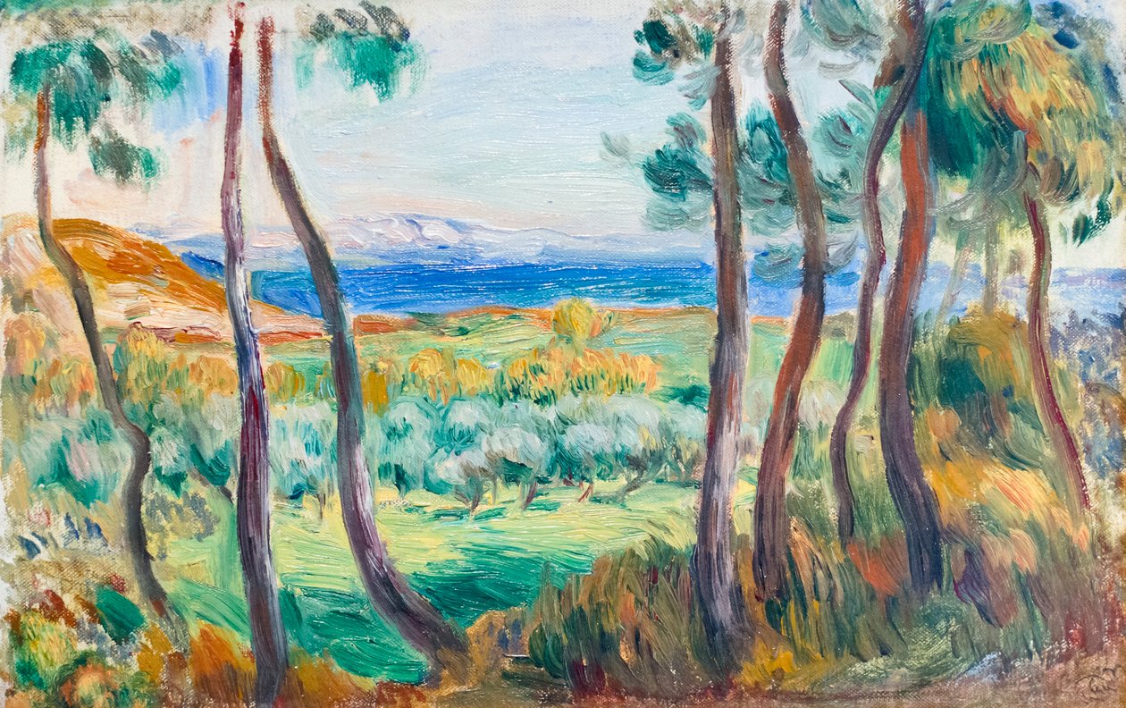 Cagnes yakınlarındaki çamlar, c. 1910 (tuval üzerine yağlı boya) by Pierre Auguste Renoir