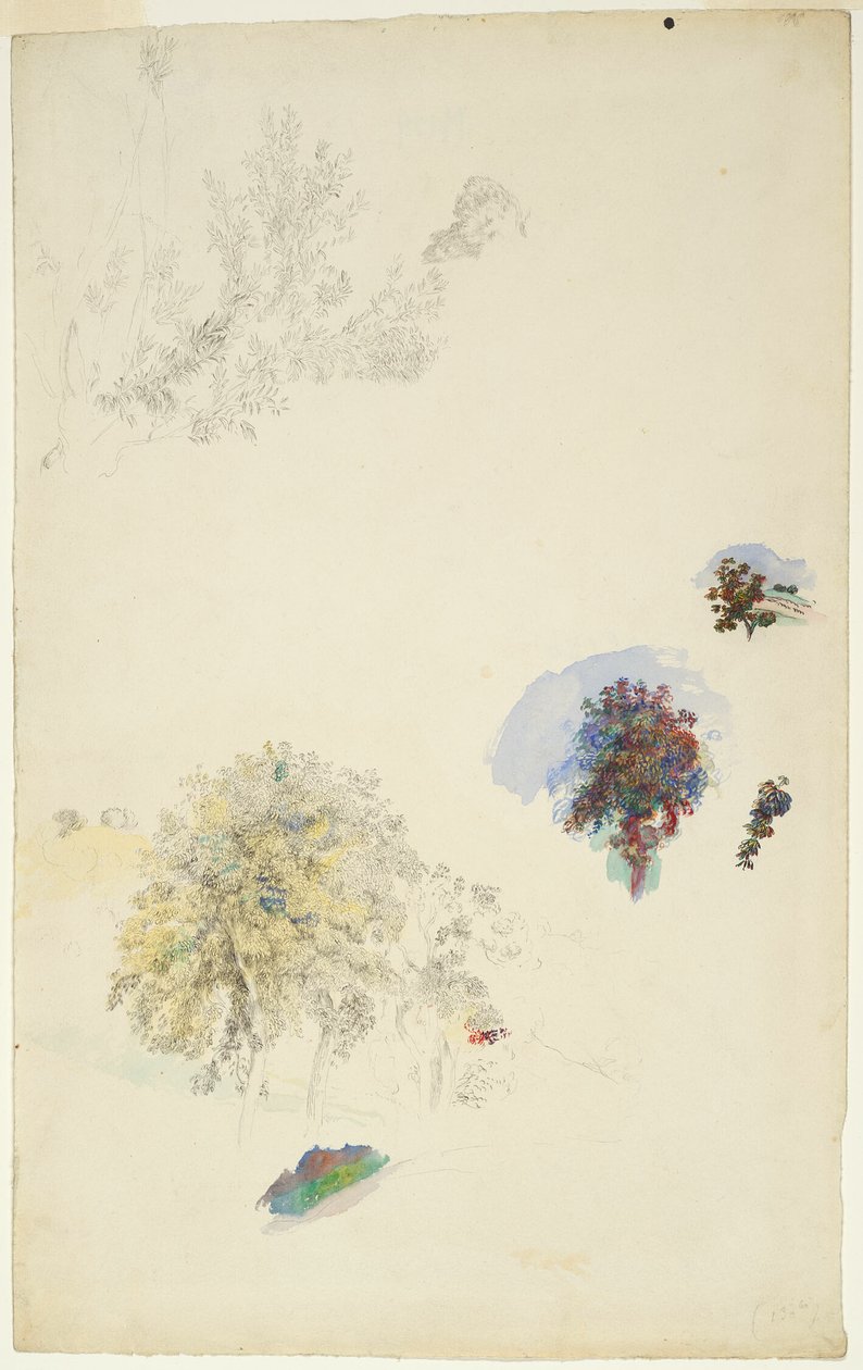  by Pierre Auguste Renoir