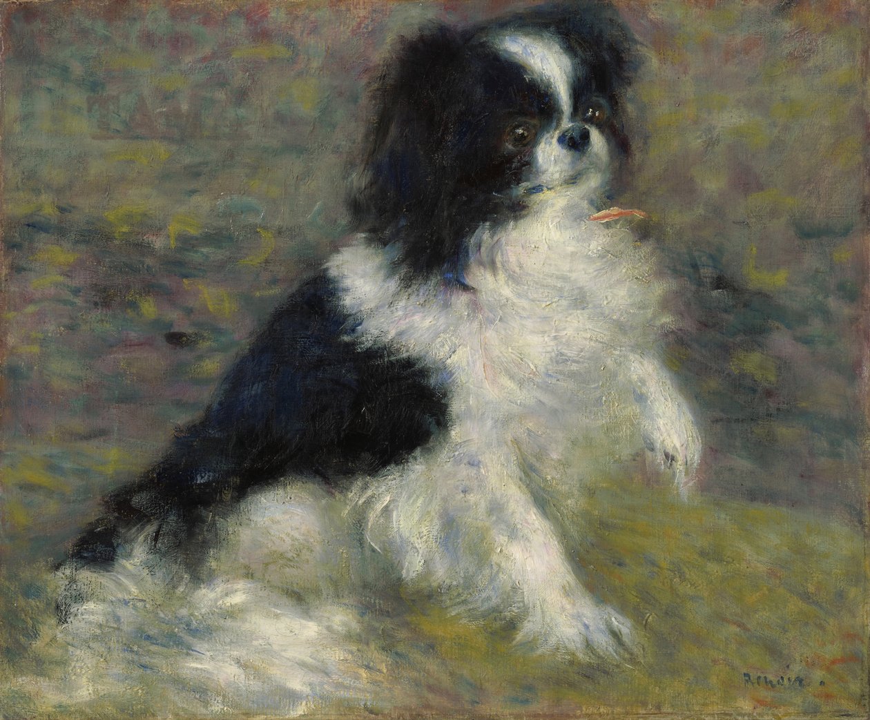 Tama, Japon Köpeği, 1876 dolayları by Pierre Auguste Renoir