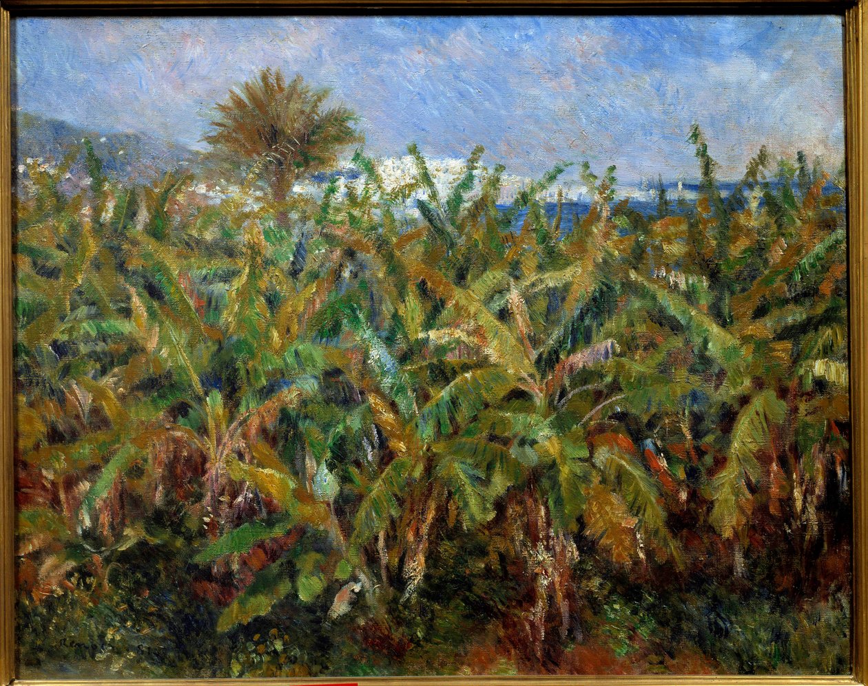 Un champ de bananas Tablo Pierre Auguste Renoir (1841-1919) 1881 Güneş. 0,51x0,63 m Paris, musee d
