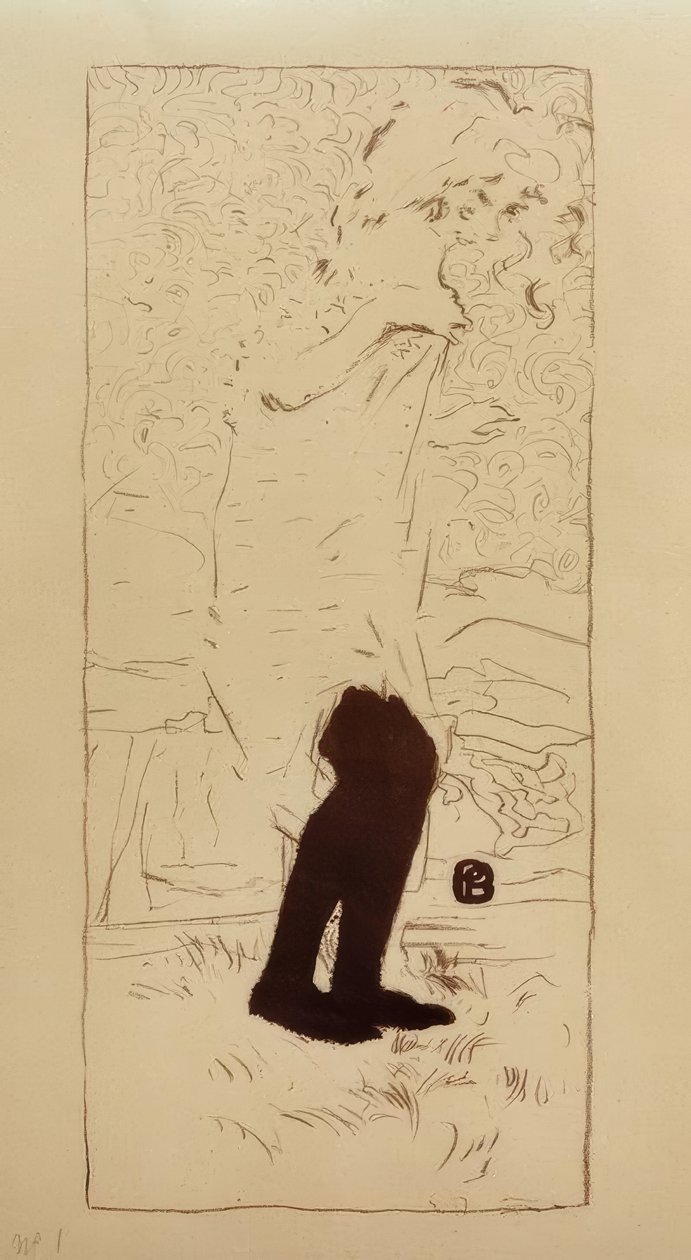 gizlilik içinde by Pierre Bonnard
