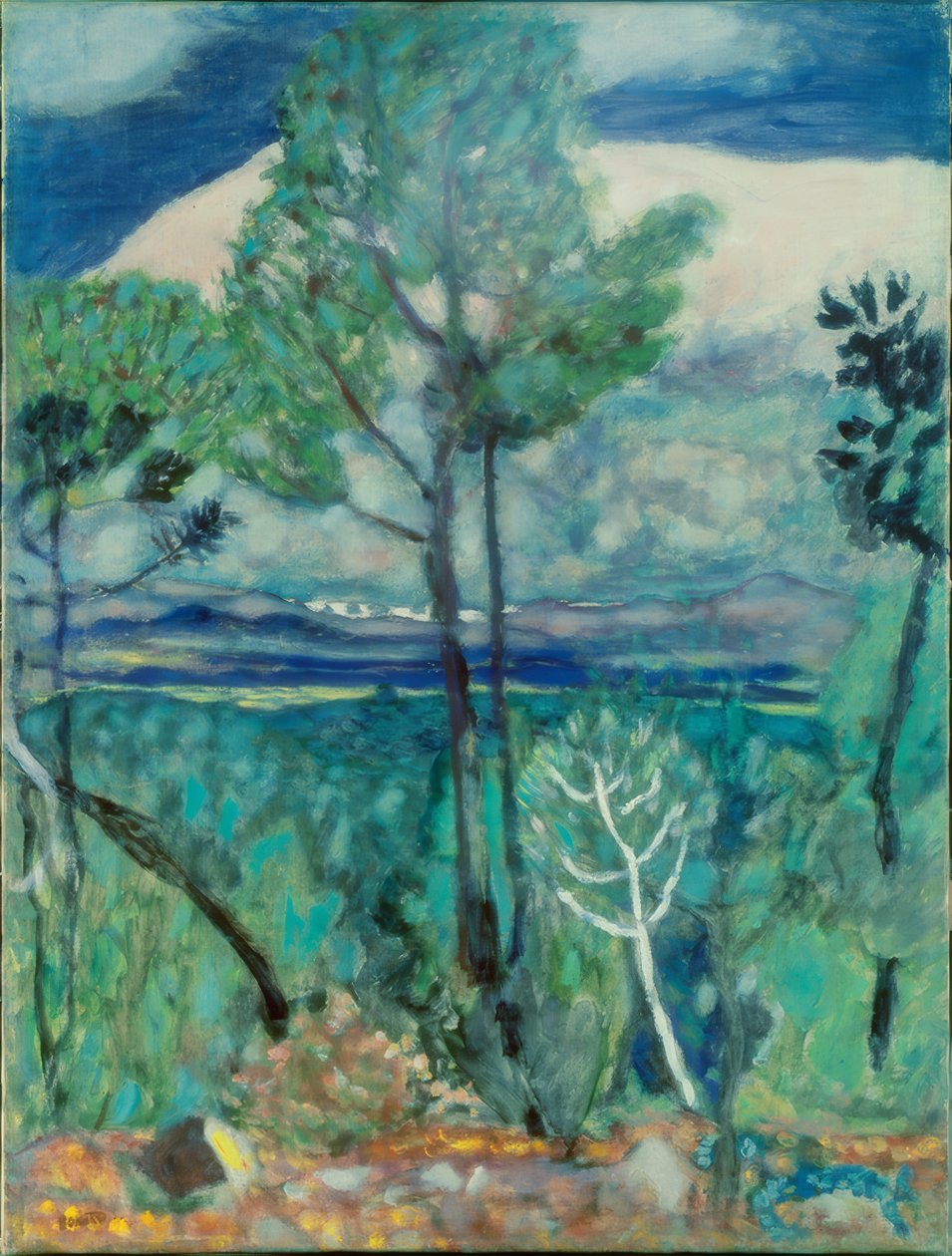 manzara by Pierre Bonnard