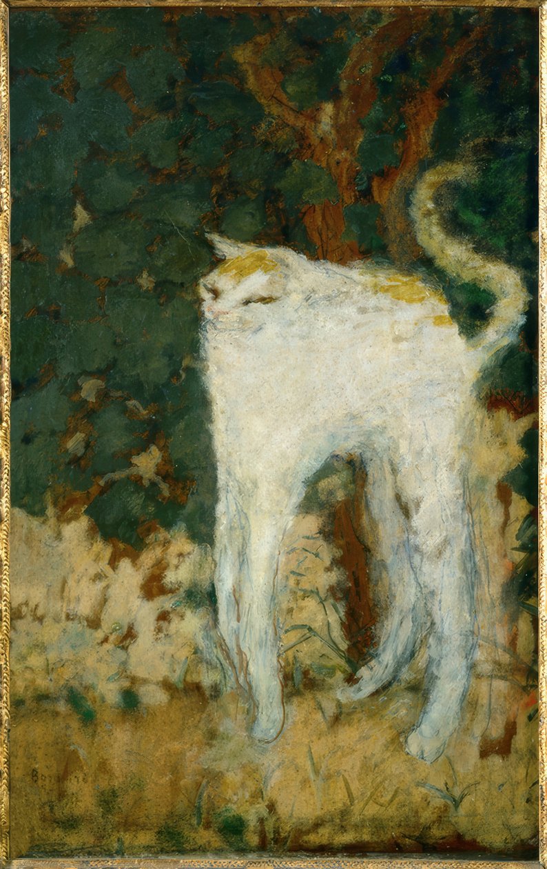 beyaz kedi by Pierre Bonnard