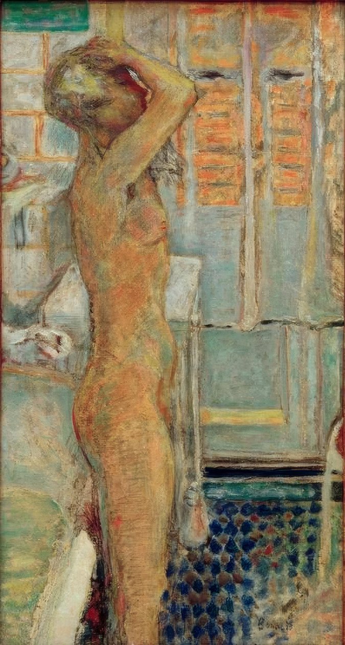 Profil grisi yok by Pierre Bonnard
