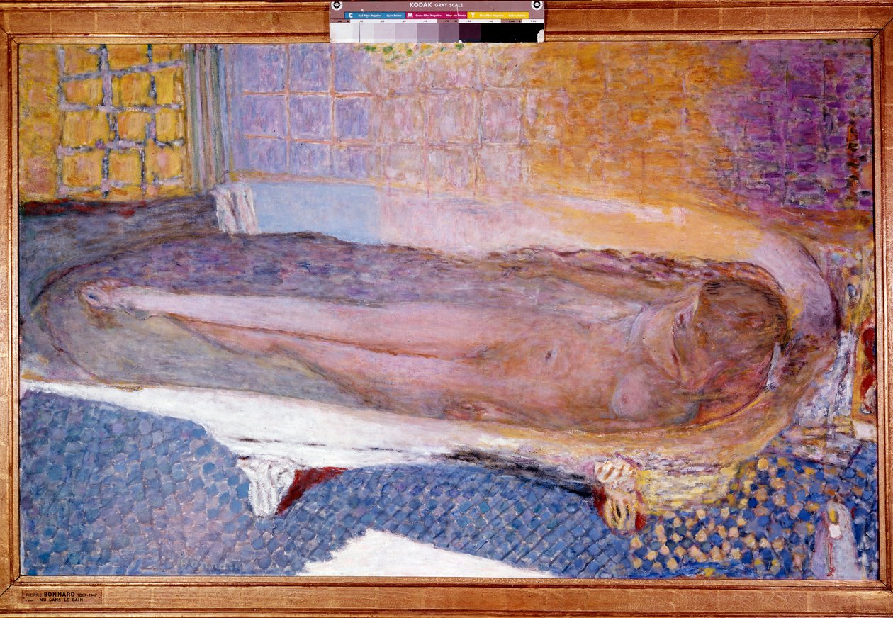 banyoda çıplak by Pierre Bonnard