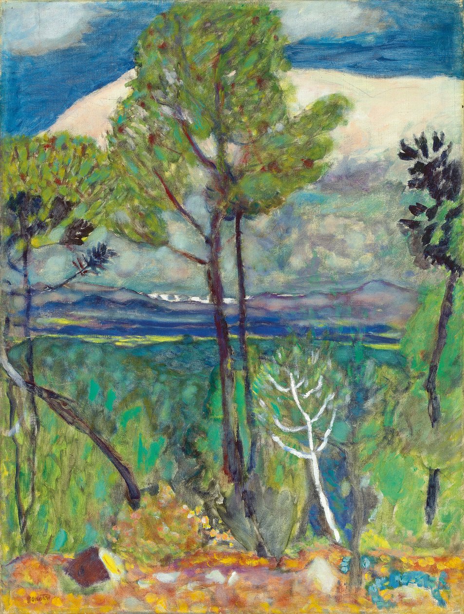 Çamlar, Deniz Kenarında, c.1923 (tuval üzerine yağlı boya) by Pierre Bonnard