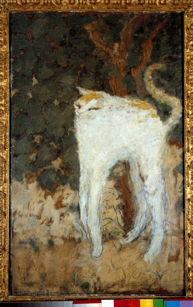 Beyaz Kedi by Pierre Bonnard