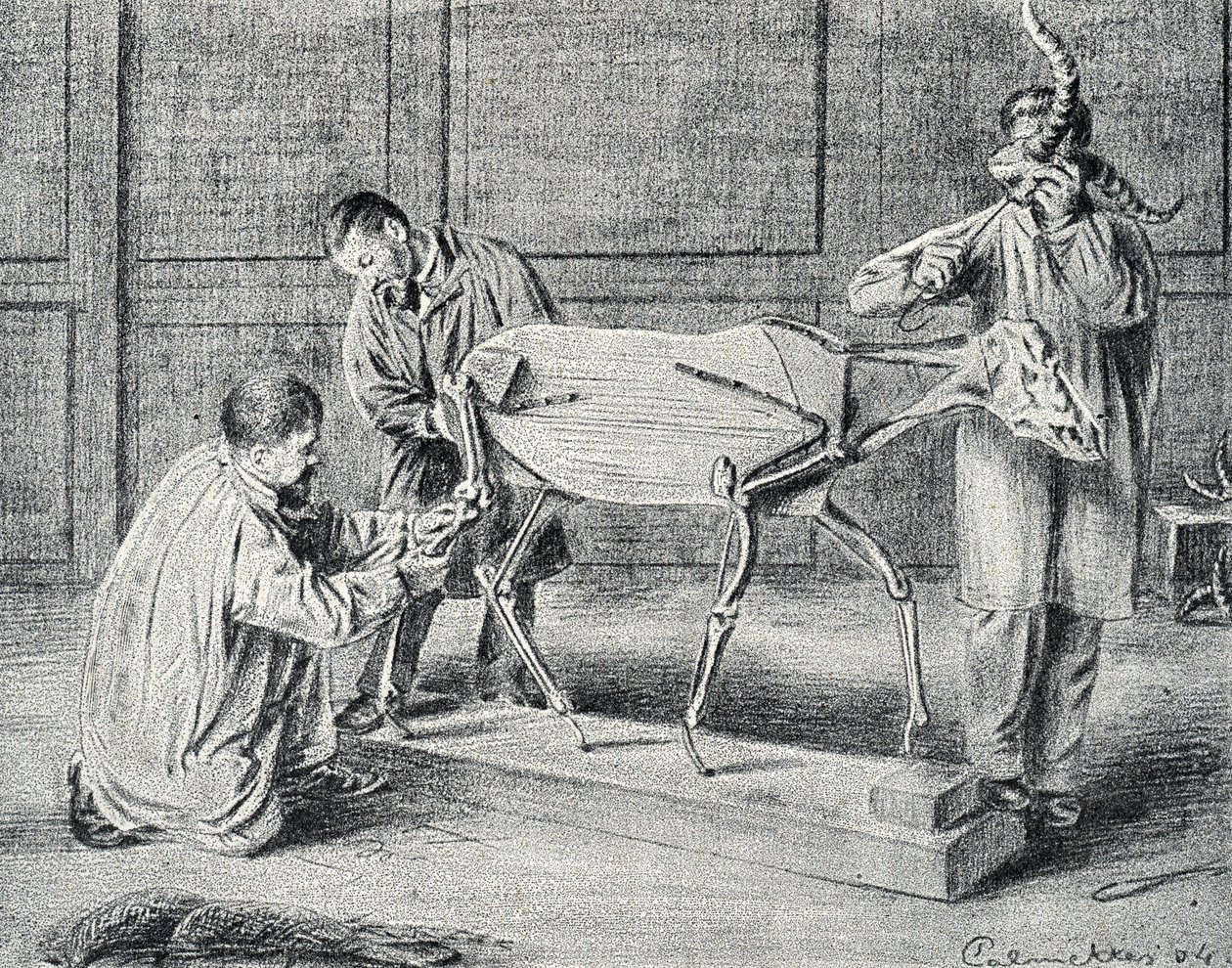 Tahnitçilik: atölyede yapay iskeleti hazırlayan hayvan postçuları Pierre Calmette'in "Excursion a travers les metiers" gravürü by Pierre Calmettes