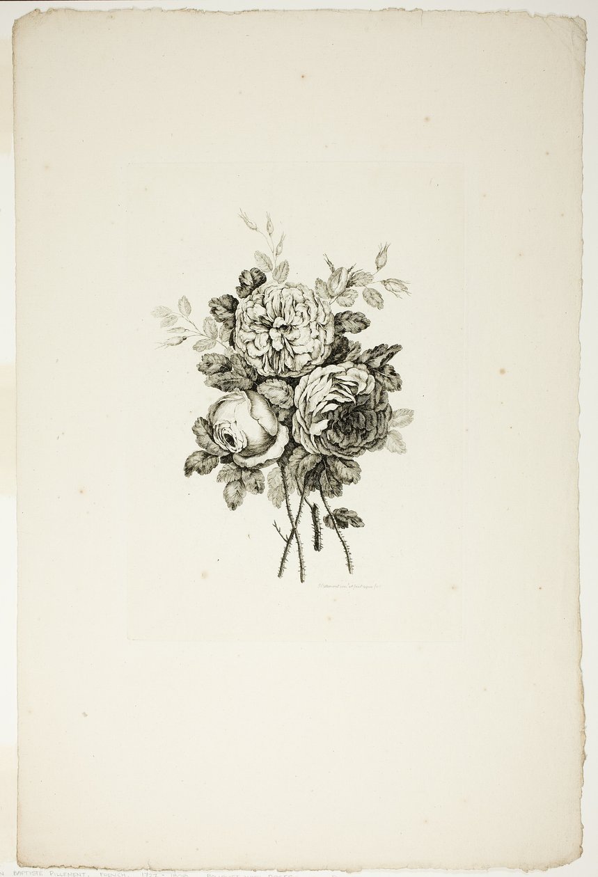 Farklı Çiçek Buketleri Koleksiyonundan Gül Buketi, Jean Pillement tarafından icat edilip çizilmiş ve P. C. Canot tarafından oyulmuş by Pierre Charles Canot