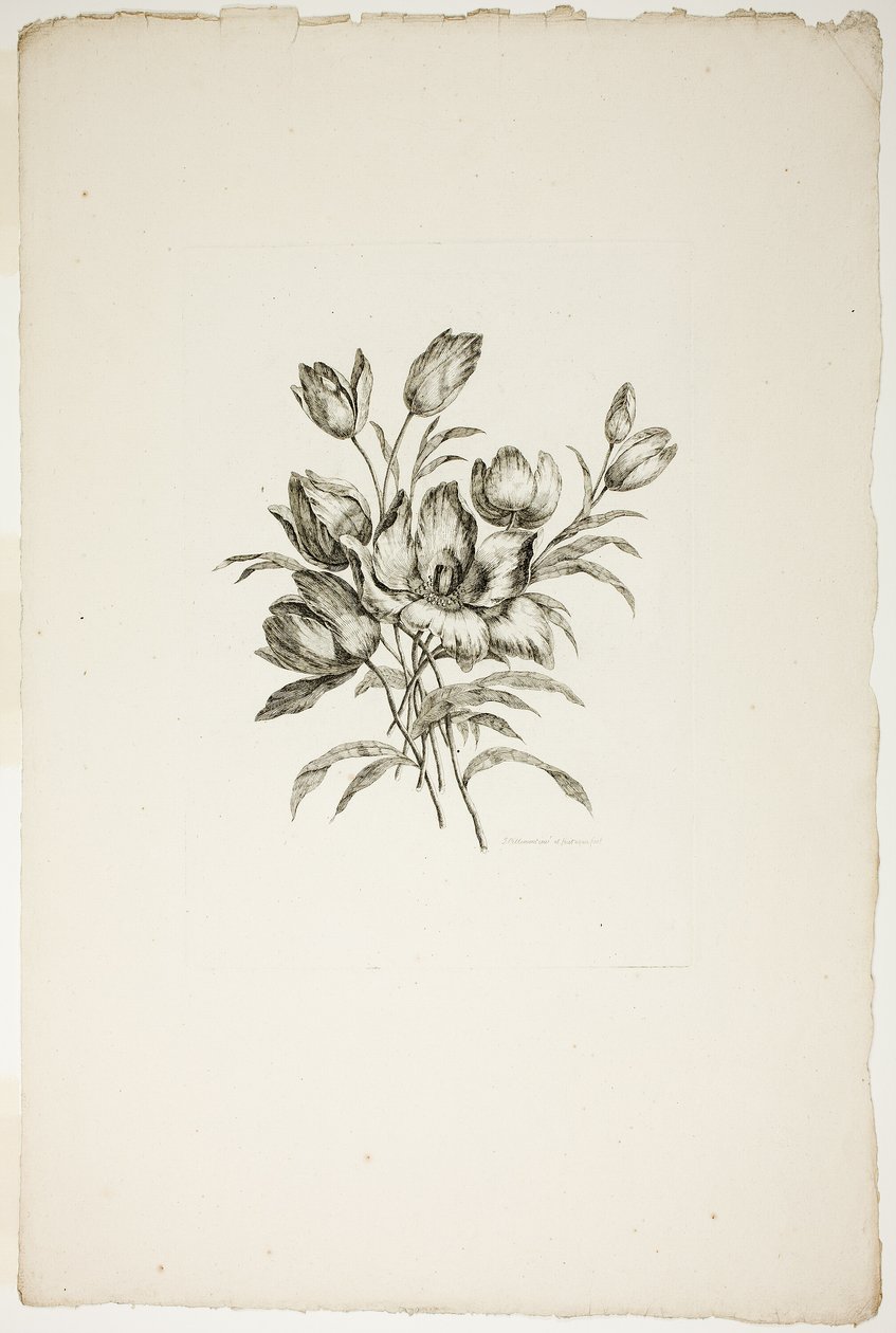 Farklı Çiçek Buketleri Koleksiyonundan Laleli Buket, Jean Pillement tarafından icat edilip çizilmiş ve P. C. Canot tarafından oyulmuş by Pierre Charles Canot