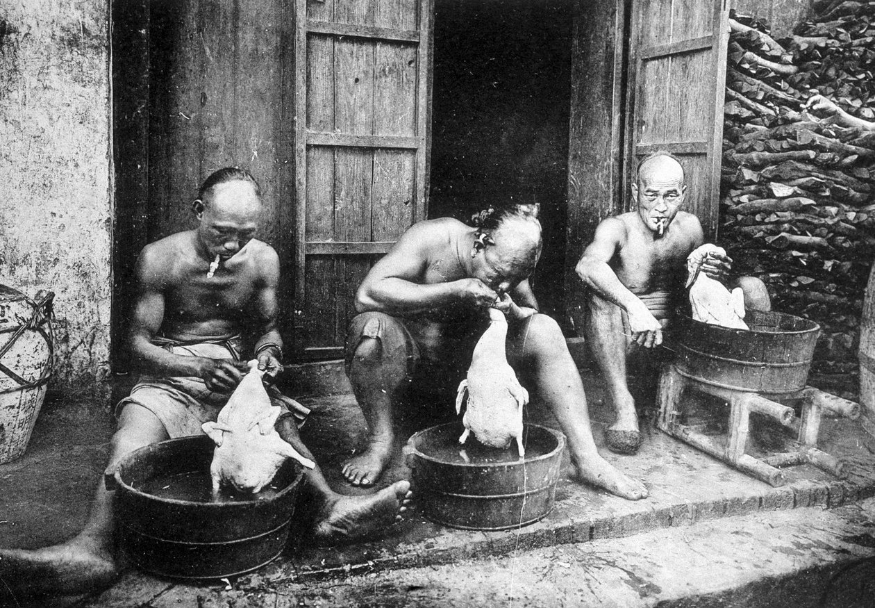 Çin ördeği tüyleri, “” Saygon ve çevresi””, foto. Dieulefiller, c. 1900. by Pierre Dieulefils