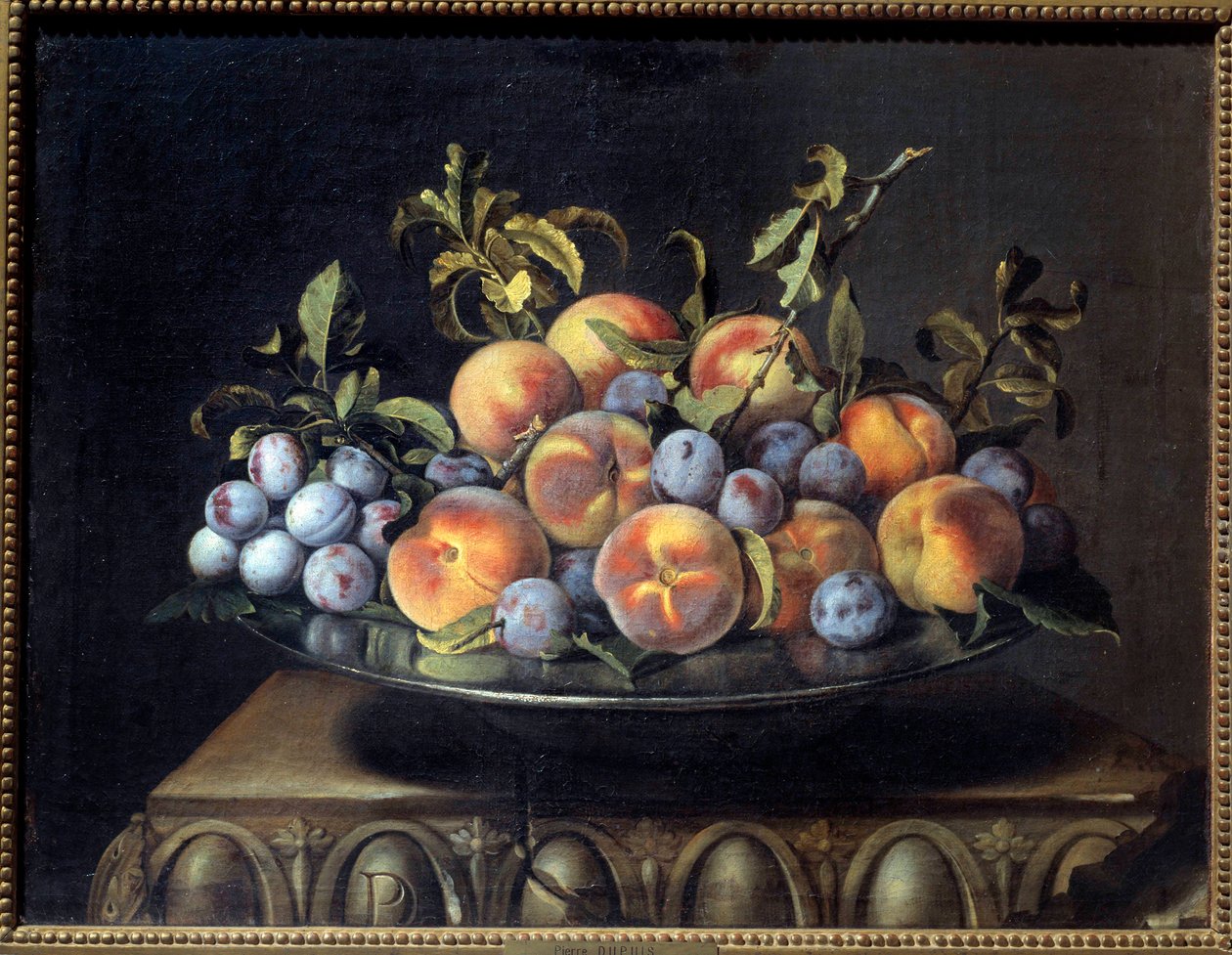 Teneke tabakta şeftali ve erik Boyama Pierre Dupuis (1610-1682) 17. yüzyıl Güneşi. 0,48x0,61 m by Pierre Dupuis