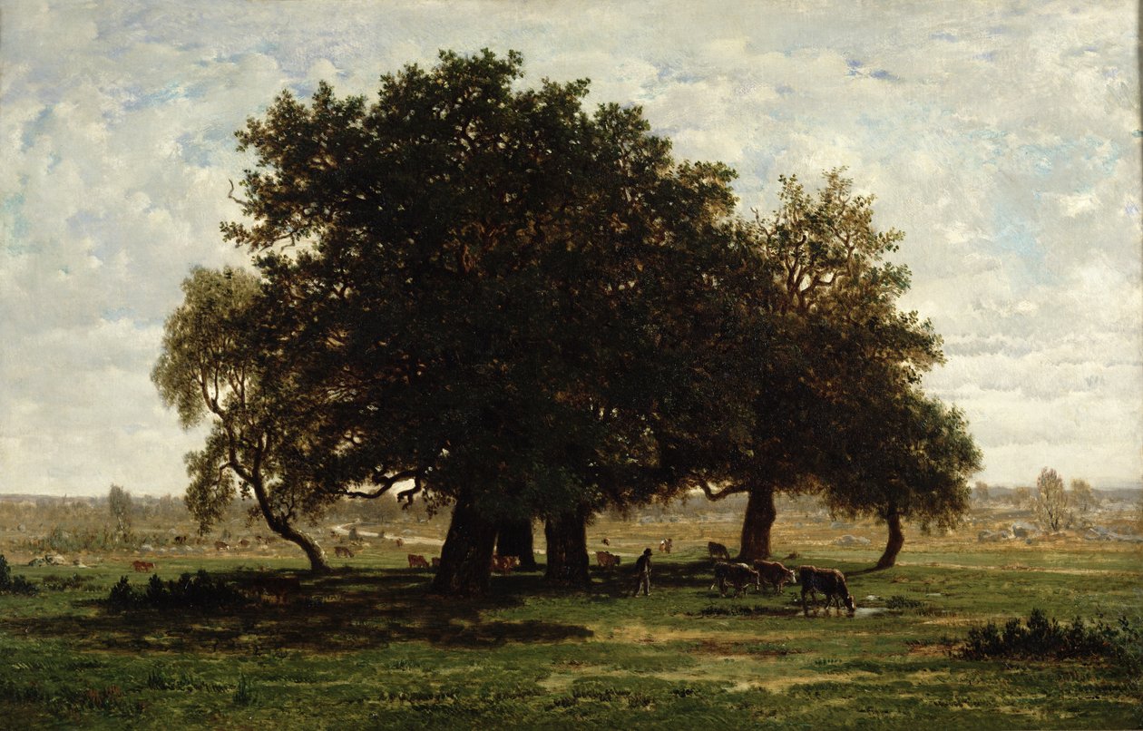 Holm Oaks, Apremont, 1850-52  by Pierre Etienne Theodore Rousseau