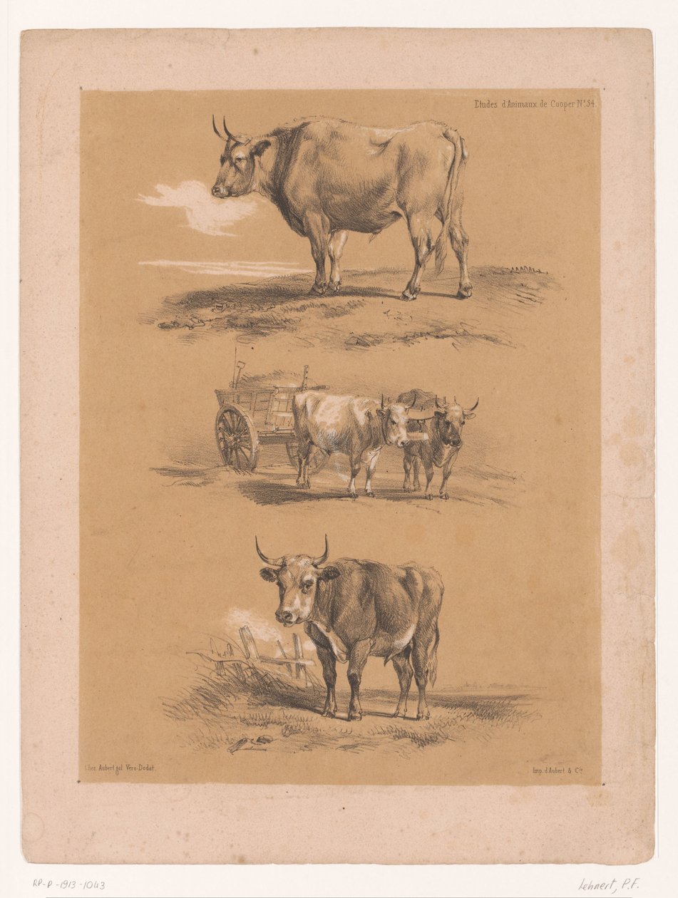 Üç öküz ve öküz arabası çalışması Cooper'dan hayvan çalışmaları (seri başlığı) Études d'Animaux de Cooper (nesne üzerinde seri başlığı) by Pierre Frédéric Lehnert