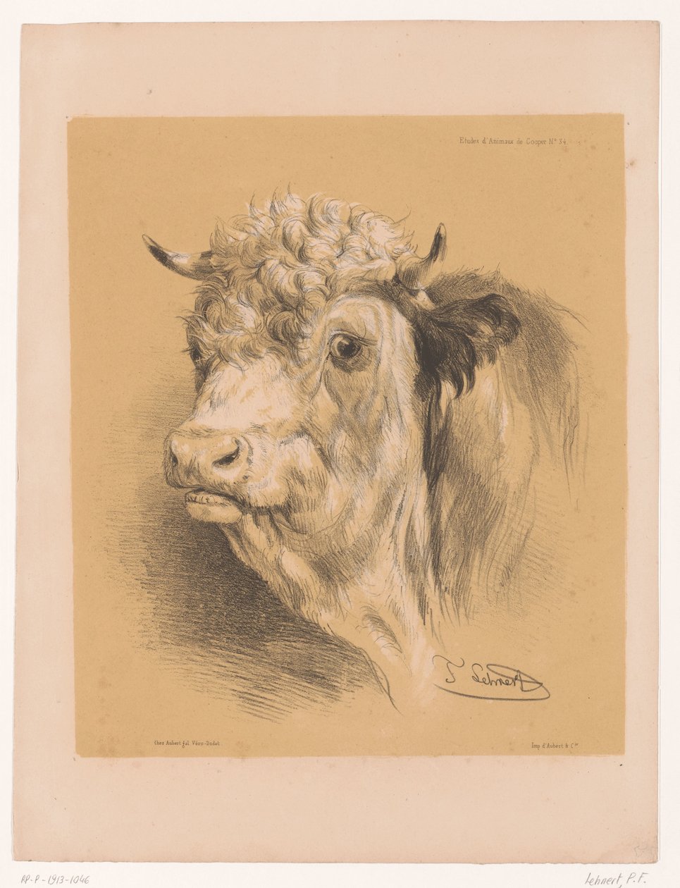 Cooper'ın Öküz Hayvan Çalışmaları Çalışması (dizi başlığı) Études d'Animaux de Cooper (nesne üzerine dizi başlığı) by Pierre Frédéric Lehnert
