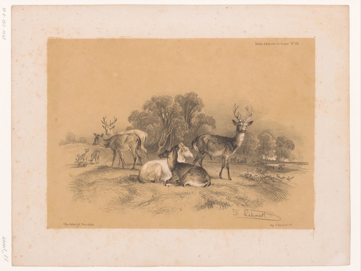 Kızıl geyik sürüsü çalışması Cooper'dan hayvan çalışmaları (dizi başlığı) Études d'Animaux de Cooper (nesne üzerinde dizi başlığı) by Pierre Frédéric Lehnert