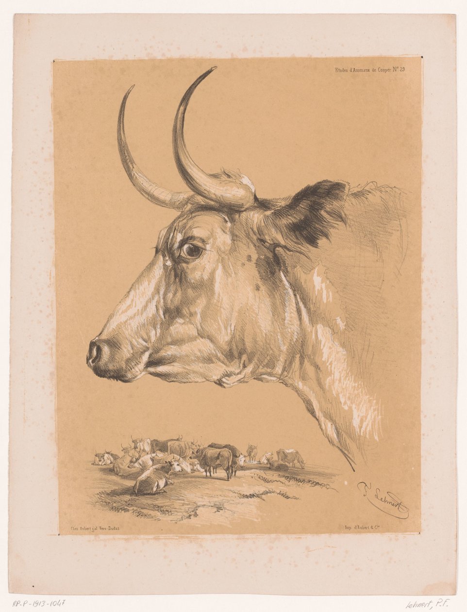 Cooper'ın Sığır Hayvan Çalışmaları Üzerine Çalışması (dizi başlığı) Études d'Animaux de Cooper (nesne üzerine dizi başlığı) by Pierre Frédéric Lehnert