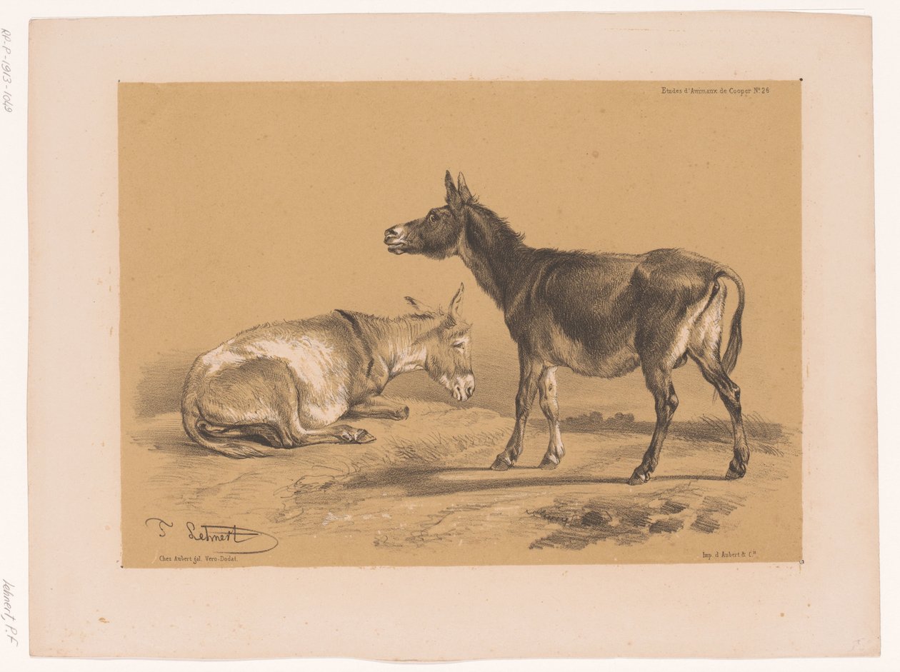 İki eşek çalışması Cooper'ın hayvan çalışmaları (dizi başlığı) Études d'Animaux de Cooper (nesne üzerine dizi başlığı) by Pierre Frédéric Lehnert