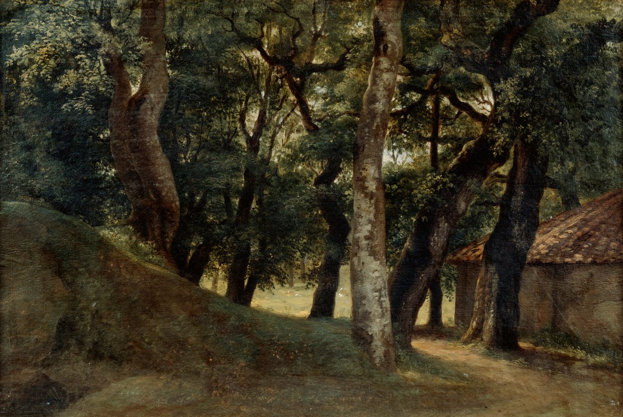 Villa Borghese Ormanı, 18. yüzyılın sonlarında 19. yüzyılın sonlarında by Pierre Henri de Valenciennes