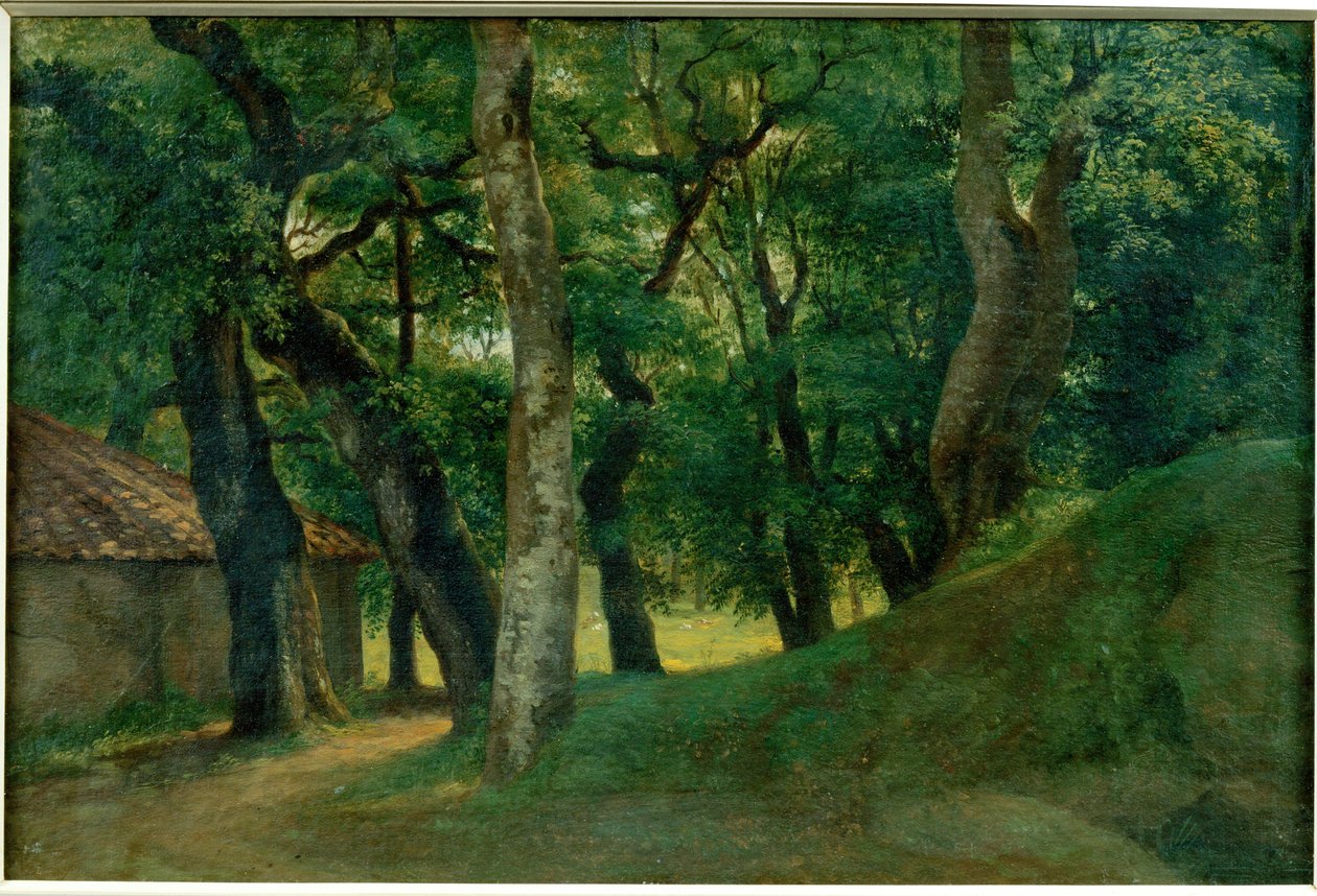  by Pierre Henri de Valenciennes