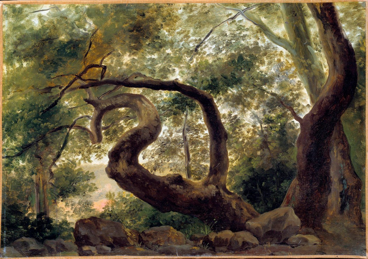 Ahşabın altında, dalları kıvrılan ağaçlar Pierre H. de Valenciennes (1750-1850) 19. yüzyıl Güneşi. 0,33x0,47 m by Pierre Henri de Valenciennes