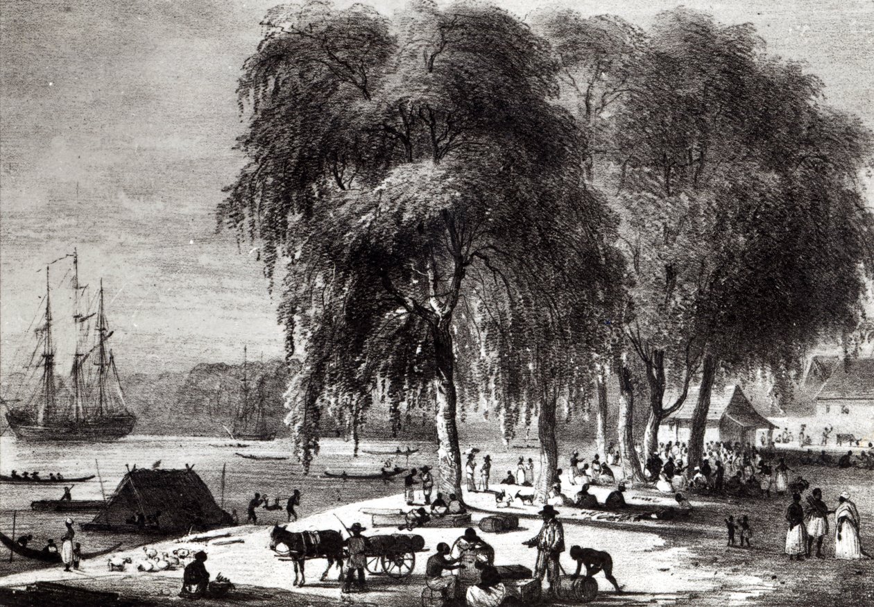 Balık Pazarı, Paramribo, 