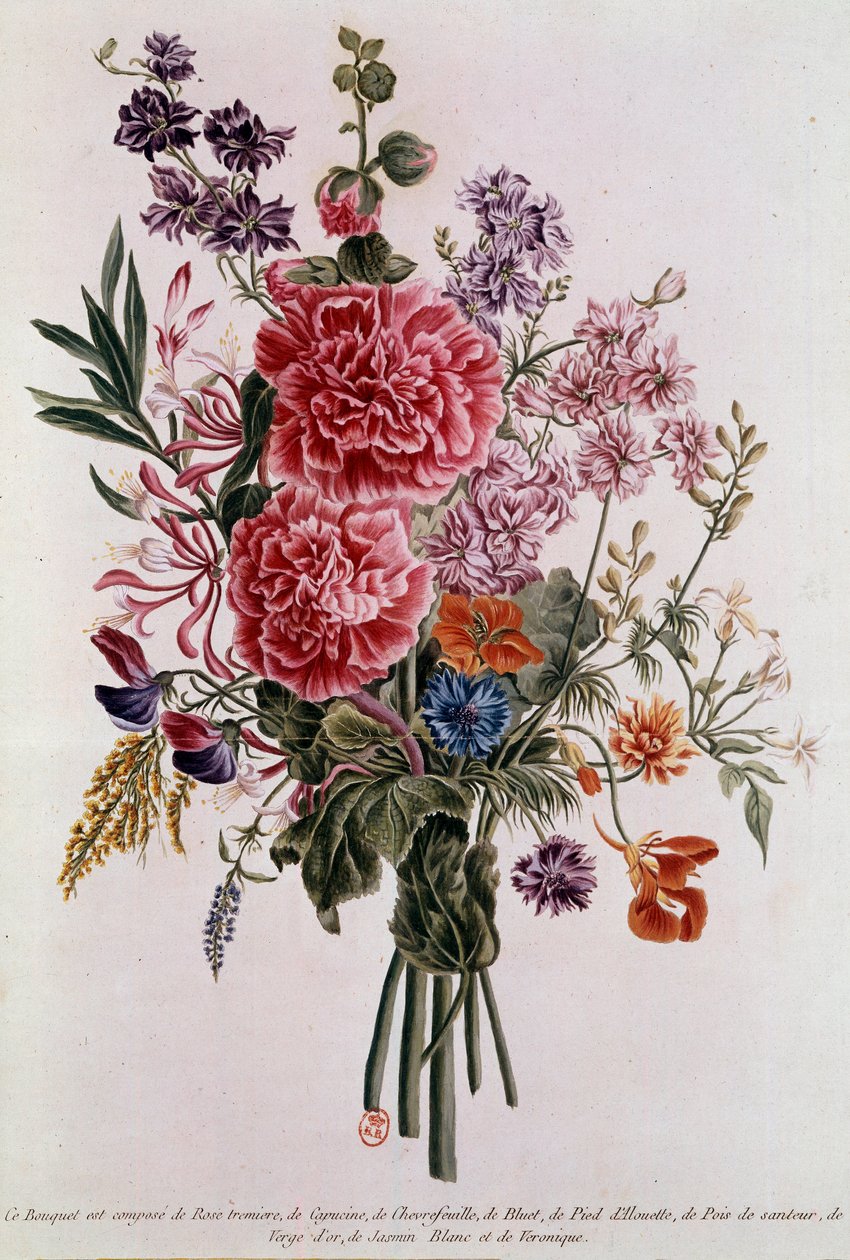 Güllerden oluşan buket Pierre Joseph Buchoz (1731-1807) tarafından Litografi 18. yüzyıl Paris, B.N. by Pierre Joseph Buchoz