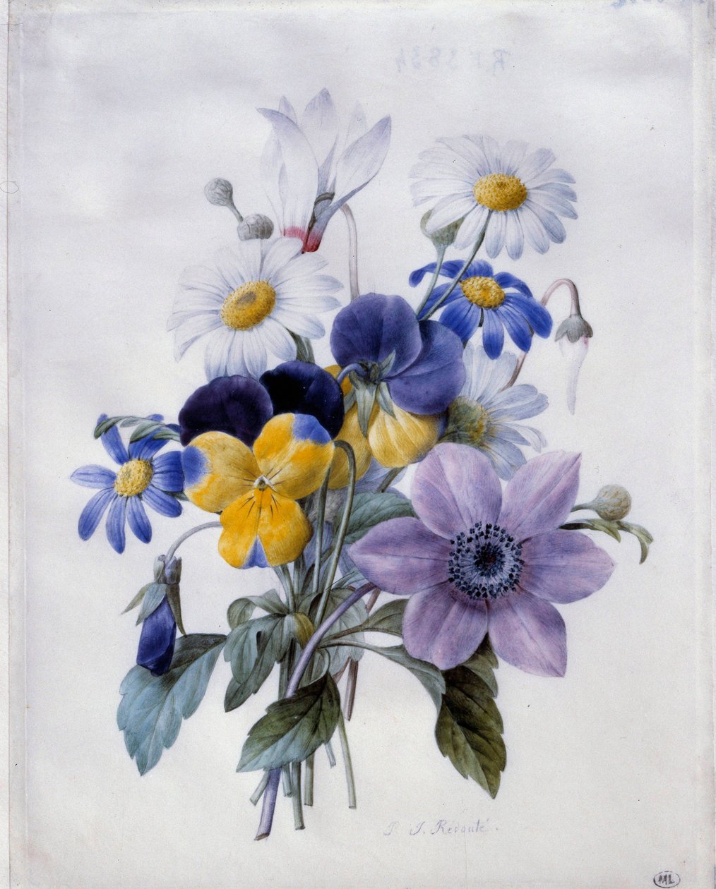 Bir buket çiçek: akasma, düşünce, papatya ve siklamen. Suluboya Pierre Joseph Redoute (1759-1840) 19. yüzyıl Güneşi. 0,19x0,18 m. Paris, Louvre Müzesi by Pierre Joseph Redouté