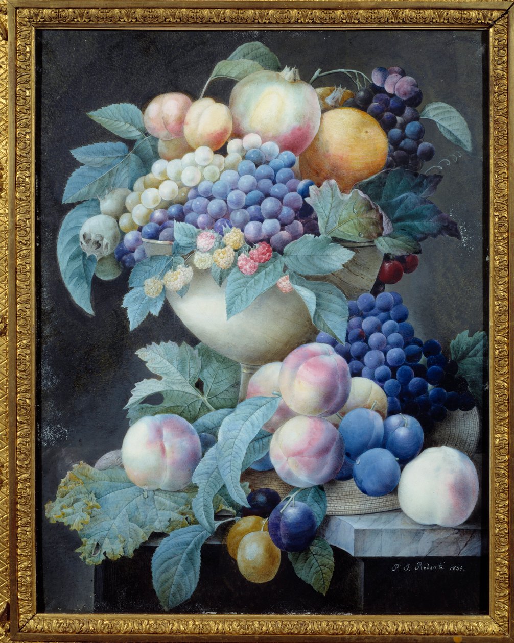 Bir bardakta üzüm. Pierre Joseph Redoute